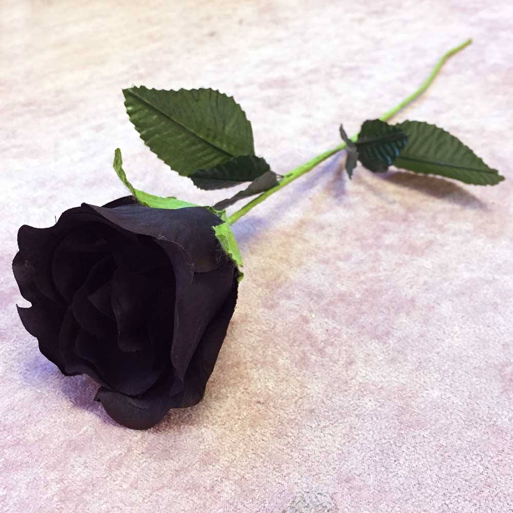 Alchemy Gothic Alchemy Gothic Ornament BLACK ROSE Zwarte roos Zwart | A