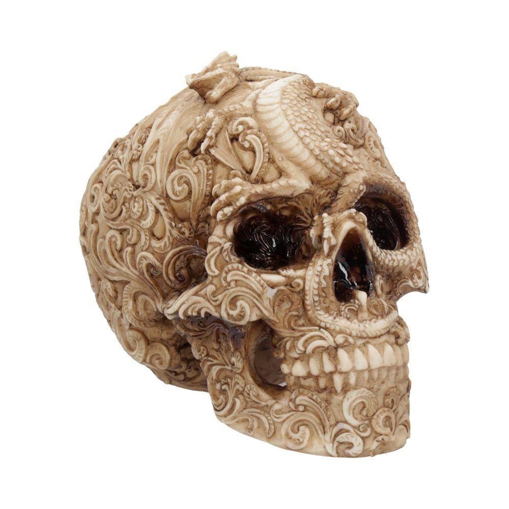 Skull Ornament Cranial Drakos Statua Nemesis Now - Feltrinelli Skull Ornament Cranial Drakos Statua Nemesis Now - Feltrinelli