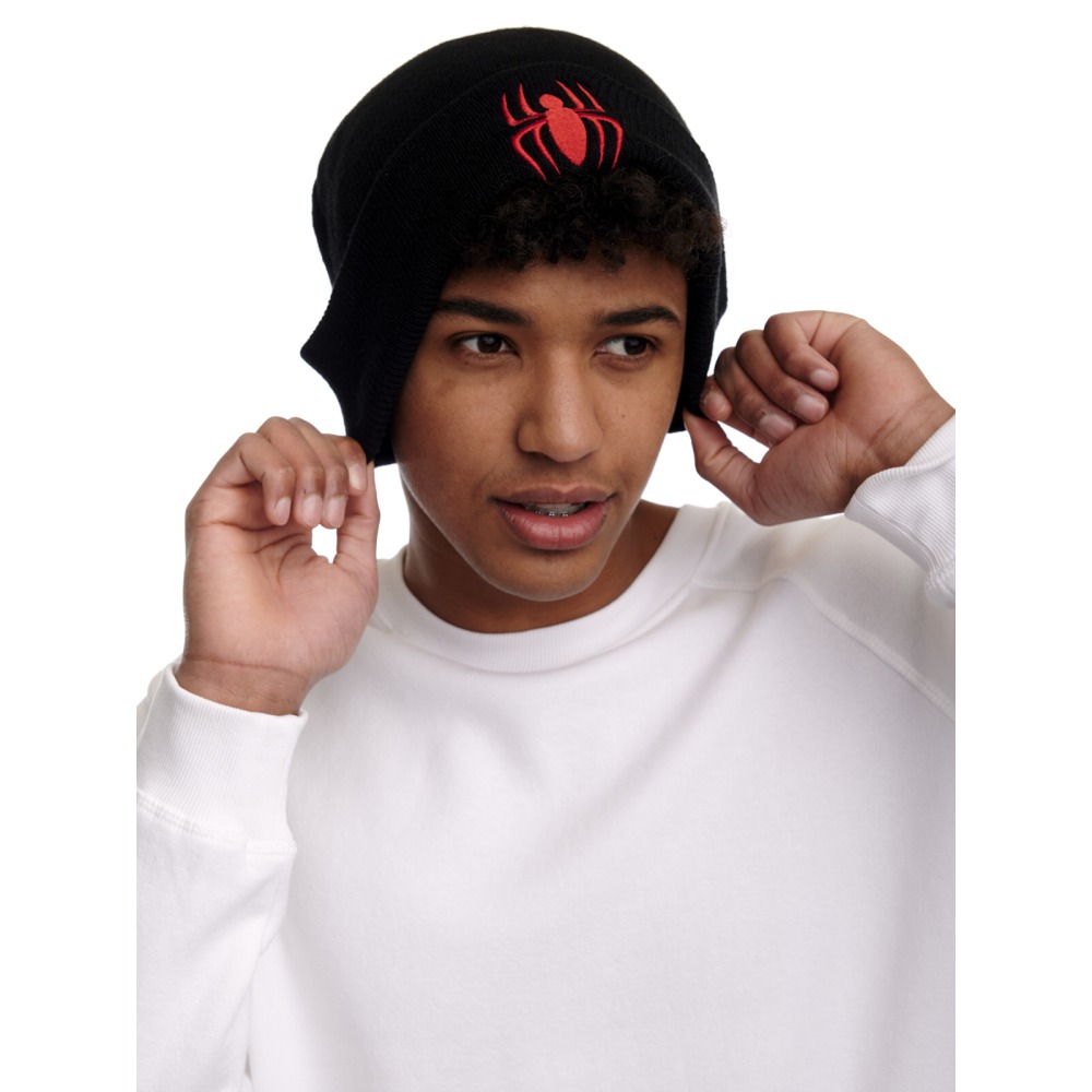Marvel Marvel SpiderMan Beanie 